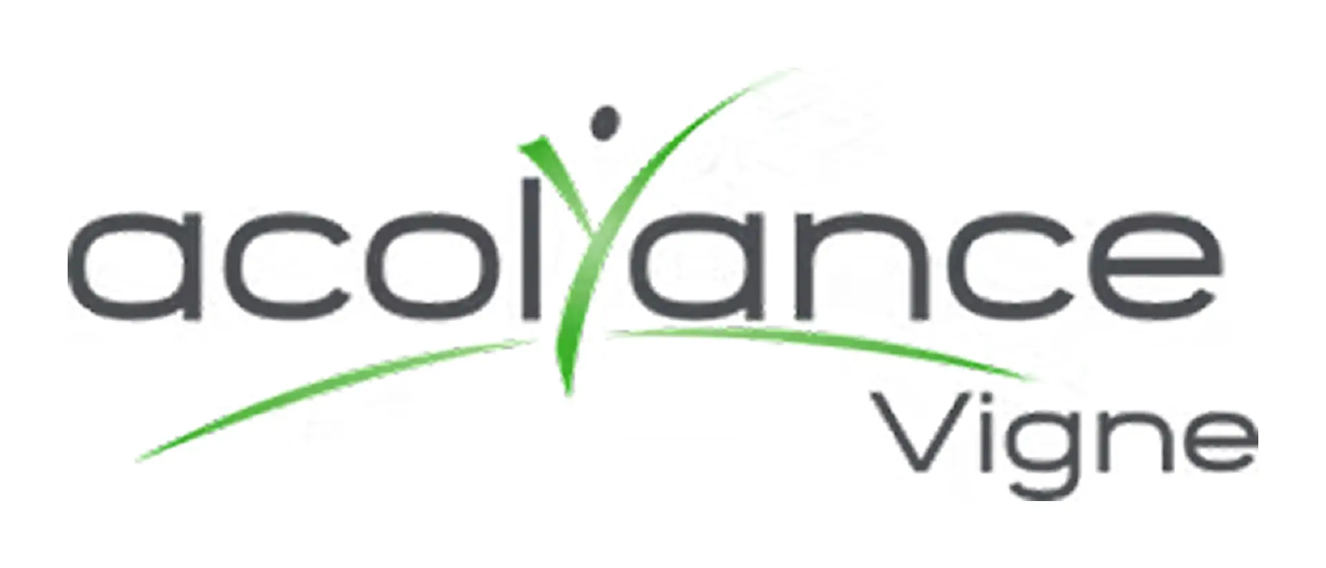 Acolyance Vigne